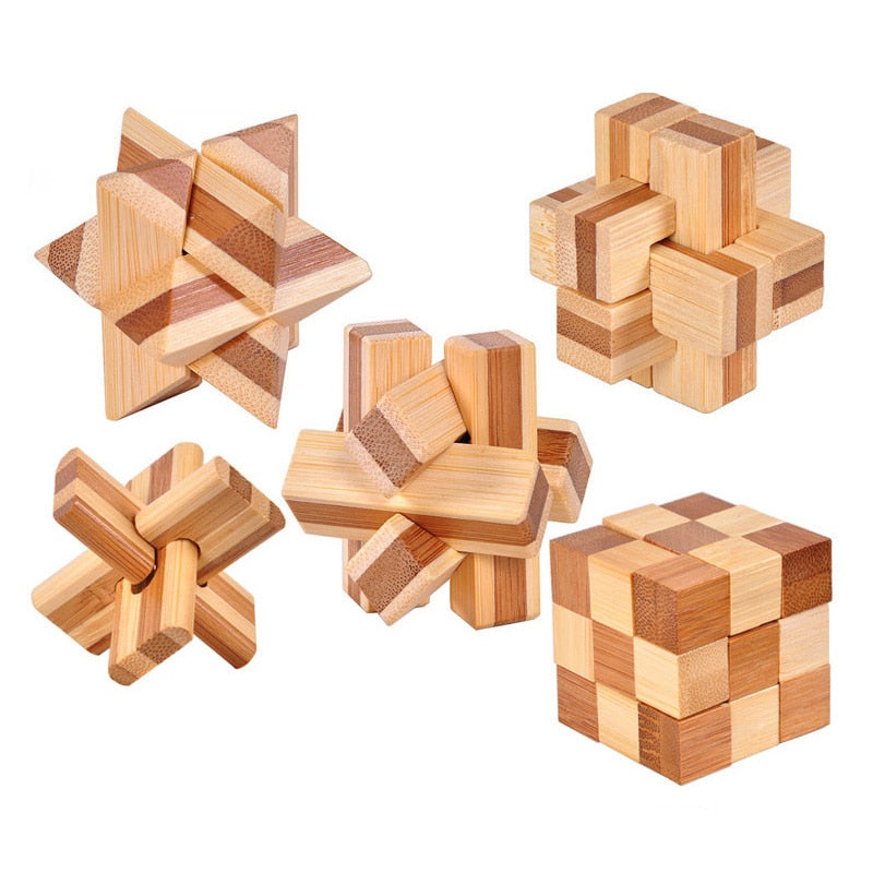 3D Wooden IQ Brain Teaser puzzle