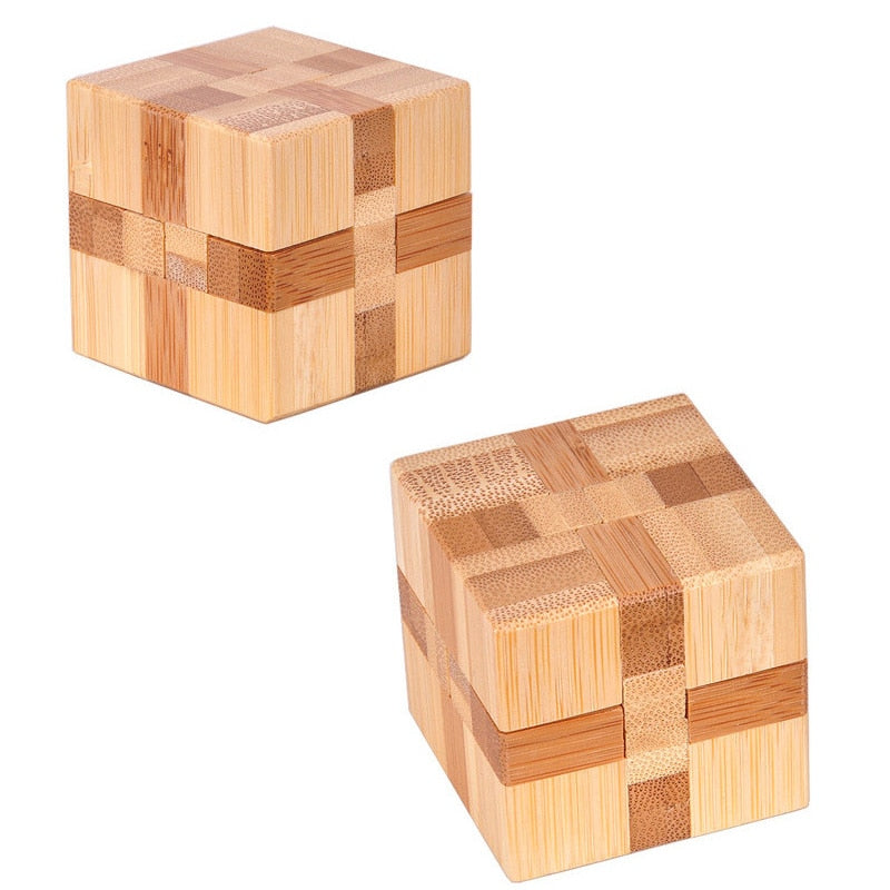 3D Wooden IQ Brain Teaser puzzle