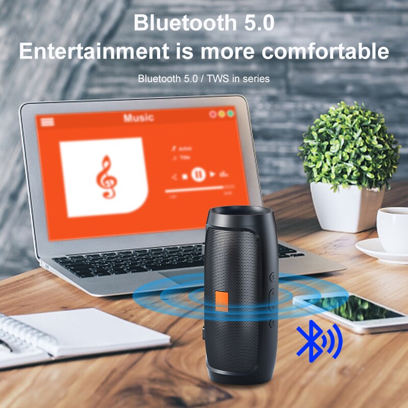 Portable Bluetooth Dual Speaker with radio