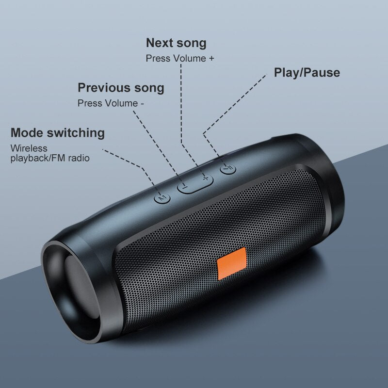 Portable Bluetooth Dual Speaker with radio