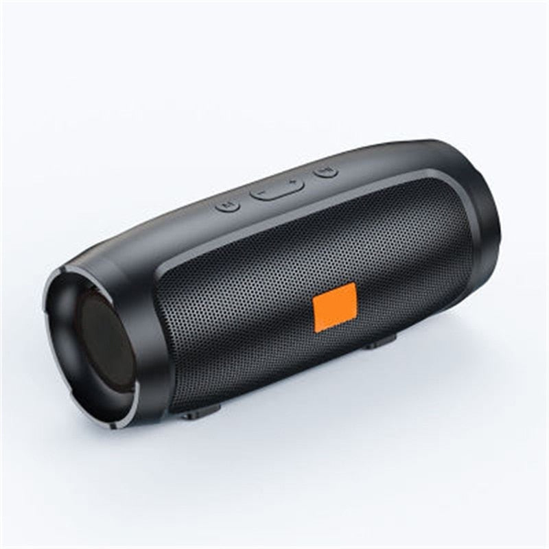 Portable Bluetooth Dual Speaker with radio