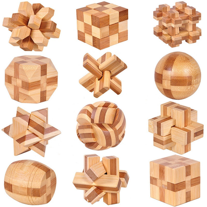 3D Wooden IQ Brain Teaser puzzle